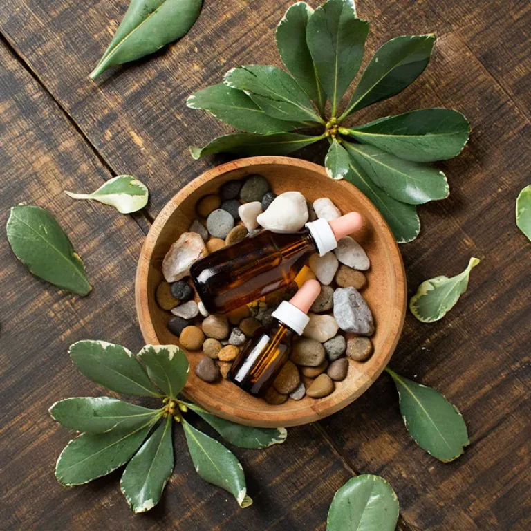 Naturopatia Medicina natural e preventiva Fisiozone